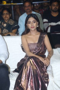 Urvasivo Rakshasivo Grand Success Celebration attended by Allu Sirish, Anu Emmanuel and Allu Arjun