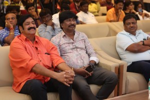 Utsavam Pre-Release Function attended by Dilip Prakash, Regina Cassandra, Brahmanandam, and others
