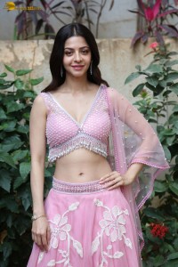 actress vedhika gorgeous in a pink lehenga choli