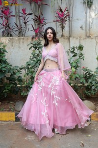 actress vedhika gorgeous in a pink lehenga choli