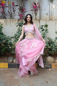 actress vedhika gorgeous in a pink lehenga choli
