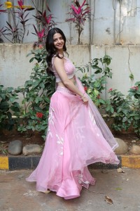 actress vedhika gorgeous in a pink lehenga choli