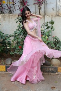 actress vedhika gorgeous in a pink lehenga choli