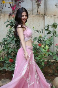 actress vedhika gorgeous in a pink lehenga choli