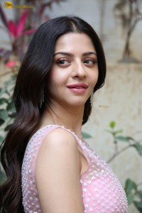 actress vedhika gorgeous in a pink lehenga choli