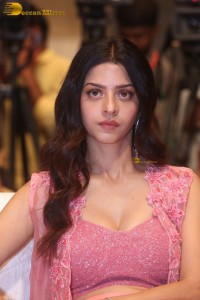 Indian actress Vedhika pretty in a pink dress