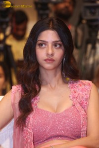 Indian actress Vedhika pretty in a pink dress