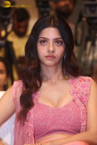 Indian actress Vedhika pretty in a pink dress