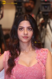 Indian actress Vedhika pretty in a pink dress