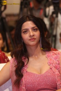 Indian actress Vedhika pretty in a pink dress
