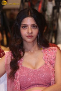 Indian actress Vedhika pretty in a pink dress