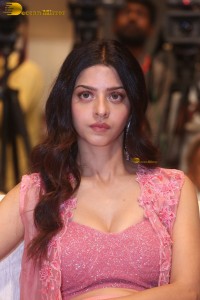 Indian actress Vedhika pretty in a pink dress
