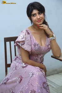 Indian actress vindhya tiwary hot cleavage show in a low neck dress for a photoshoot