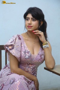 Indian actress vindhya tiwary hot cleavage show in a low neck dress for a photoshoot