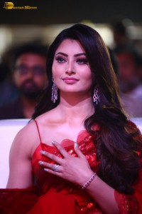 Waltair Veerayya mega mass party attended by Chiranjeevi, Ravi Teja, Urvashi Rautela and Catherine Tresa