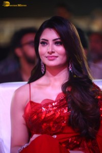 Waltair Veerayya mega mass party attended by Chiranjeevi, Ravi Teja, Urvashi Rautela and Catherine Tresa