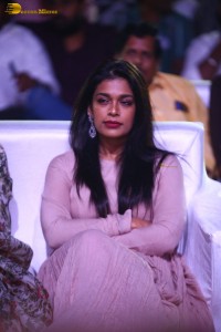 Waltair Veerayya mega mass party attended by Chiranjeevi, Ravi Teja, Urvashi Rautela and Catherine Tresa