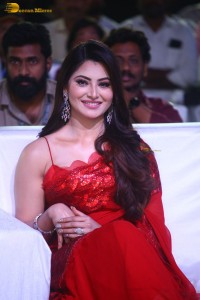 Waltair Veerayya mega mass party attended by Chiranjeevi, Ravi Teja, Urvashi Rautela and Catherine Tresa