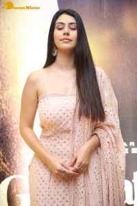 Actress Warina Hussain in a salwar dress