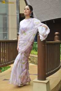 Indian actress yami gautam cute photoshoot in a saree